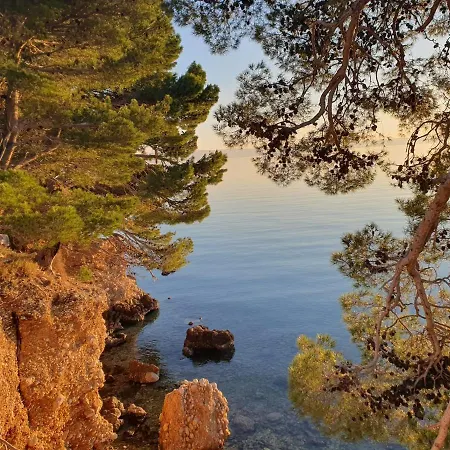 Miskovic アパート