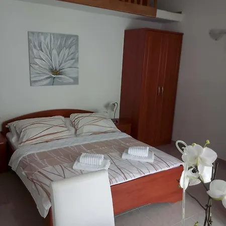 Miskovic マカルスカ