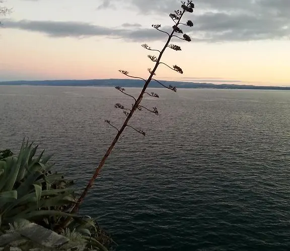 Miskovic Apartament Makarska