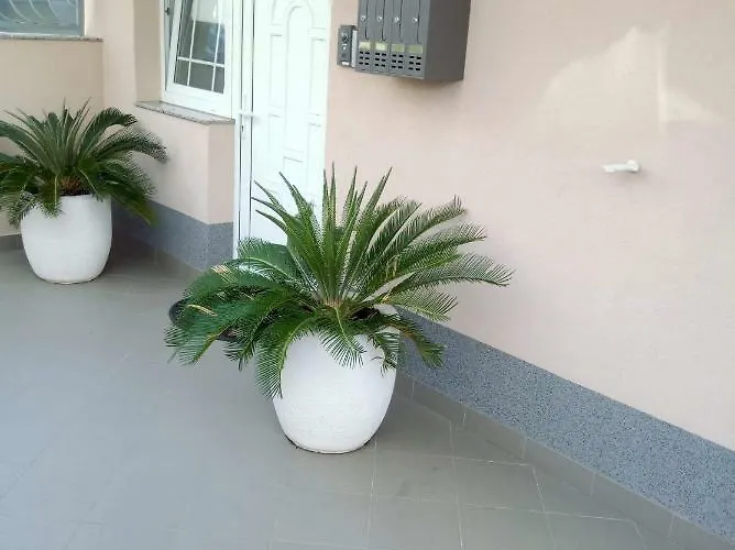 Apartament Miskovic