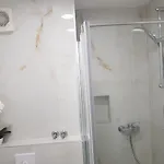 Apartment Miskovic *