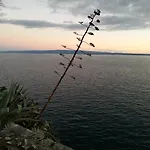 Miskovic Apartment Makarska